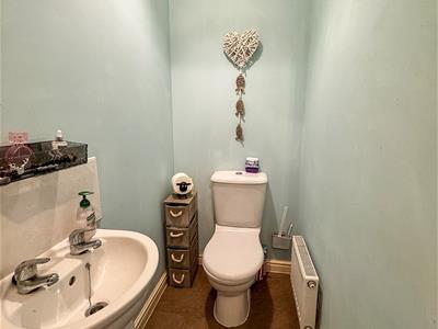 Picture 11